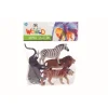 Animals Collection