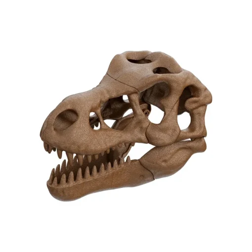 Clementoni 19324 Archeogiocando Kit T-Rex 2In1