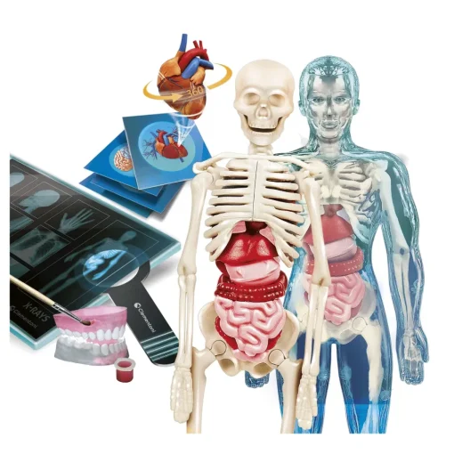 Clementoni Scienza E Gioco Lab Anatomia Super, Laboratorio Scientifico