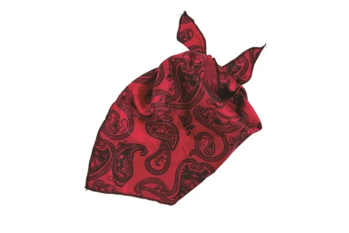 Costume Da Cowgirl