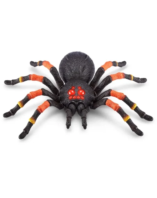 Creepy Set Tarantula, Snake, Small Spider