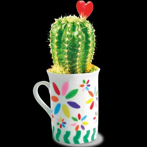 Decora Le Tazze