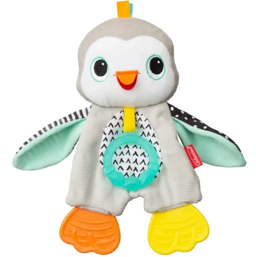 Dentaruolo Pinguino