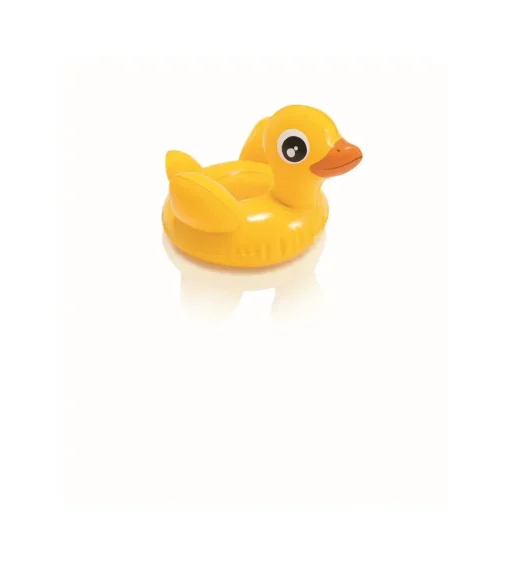 Intex Animaletti Assortiti