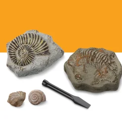 Kit Paleontologo Con 2 Mini Fossili