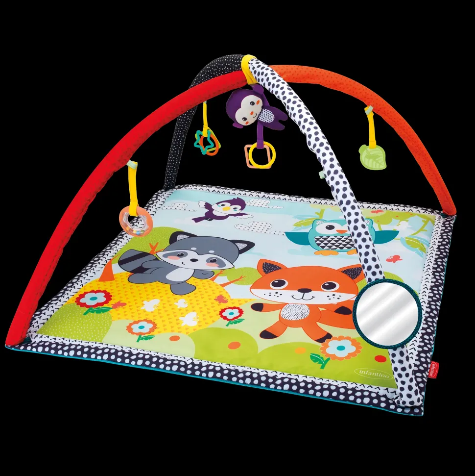 Palestrina E Tappeto Gioco