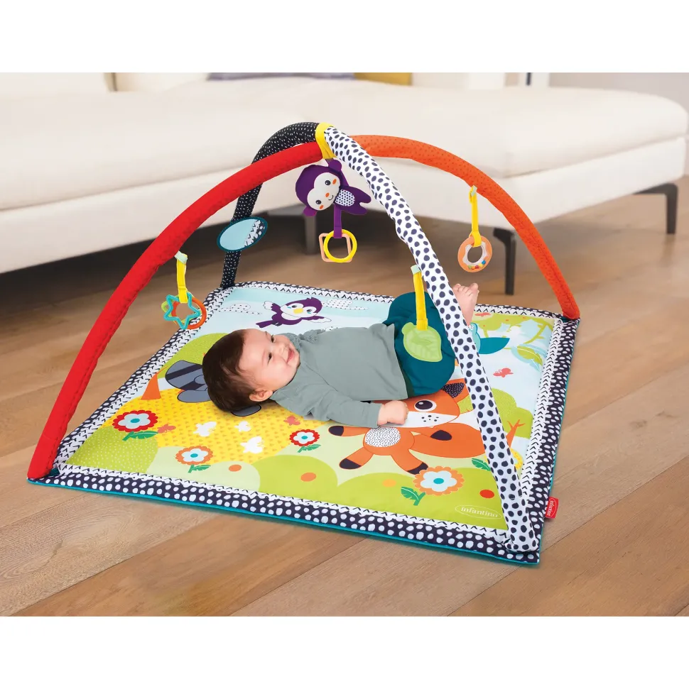 Palestrina E Tappeto Gioco