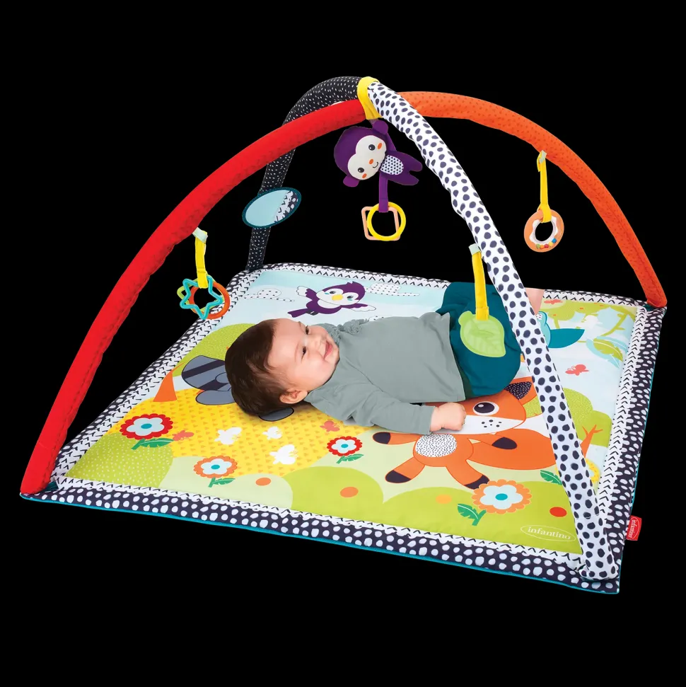 Palestrina E Tappeto Gioco