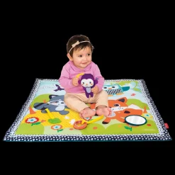 Palestrina E Tappeto Gioco