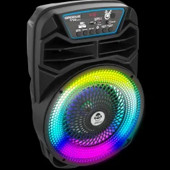 Party Speaker 100W