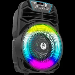 Party Speaker 100W