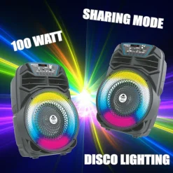 Party Speaker 100W
